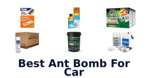 Best Ant Bomb For Car