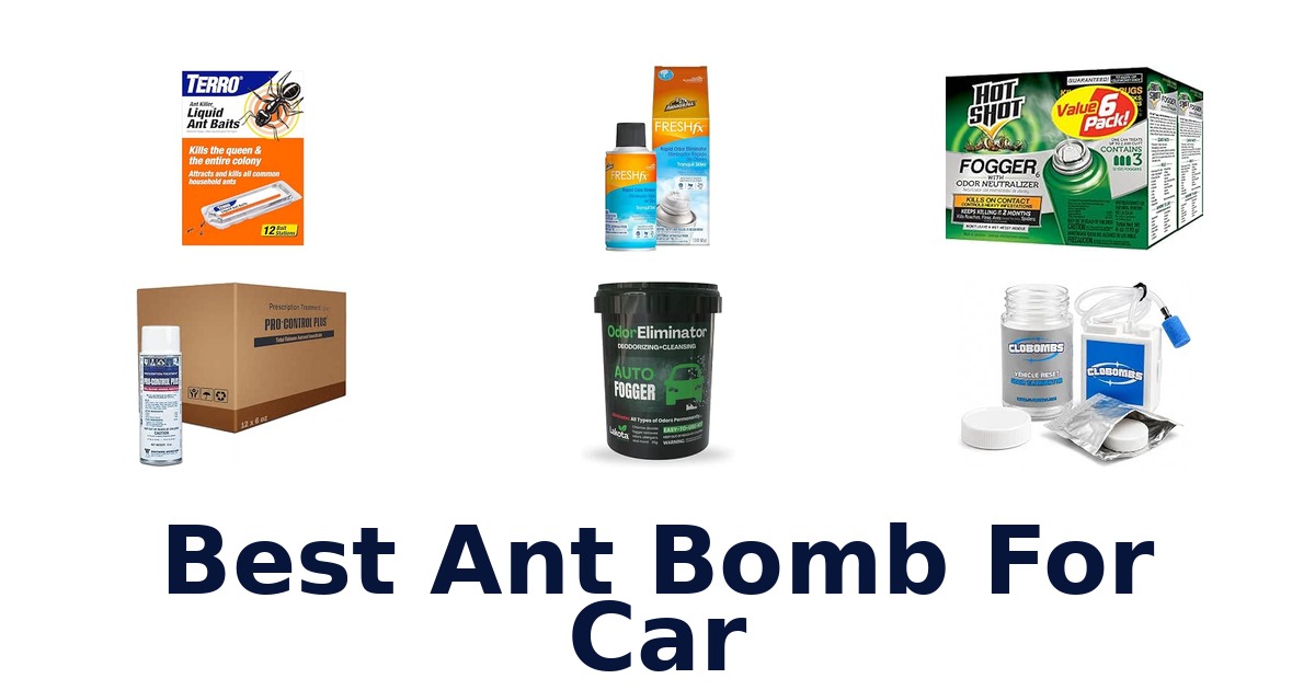 Best Ant Bomb For Car