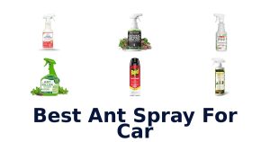 Best Ant Spray For Car