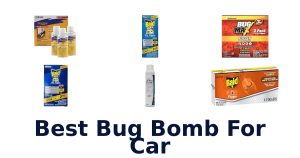 Best Bug Bomb For Car
