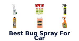 Best Bug Spray For Car