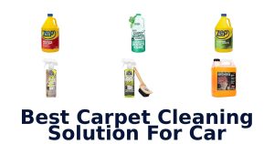 Best Carpet Cleaning Solution For Car