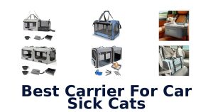 Best Carrier For Car Sick Cats