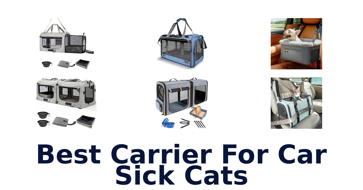 Best Carrier For Car Sick Cats