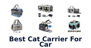 Best Cat Carrier For Car