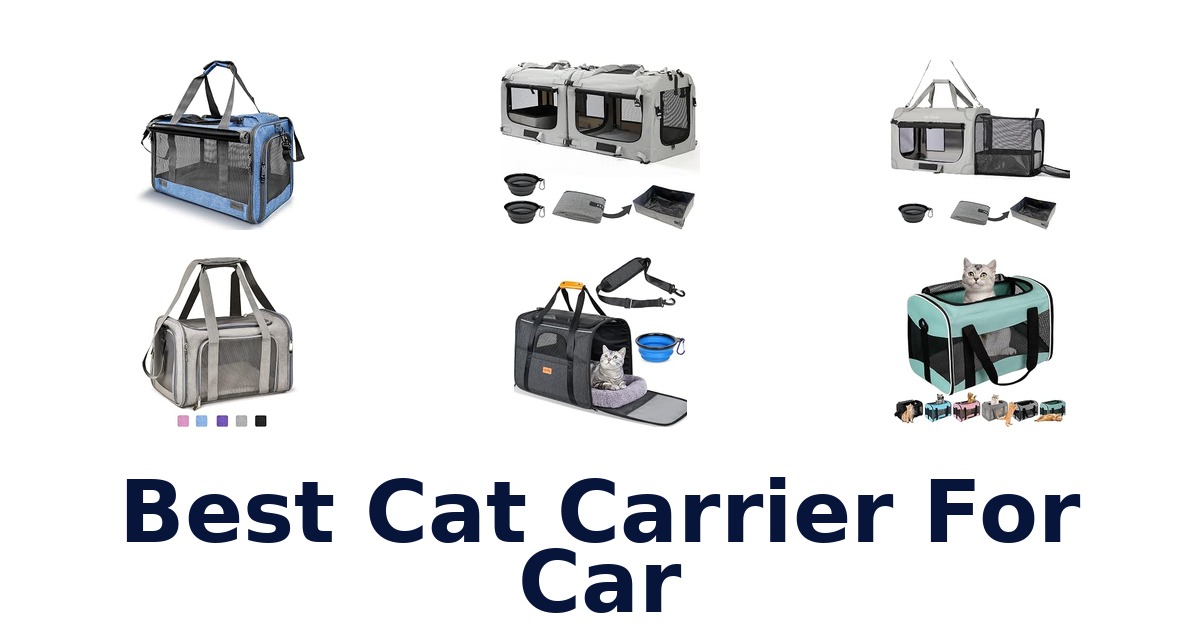 Best Cat Carrier For Car