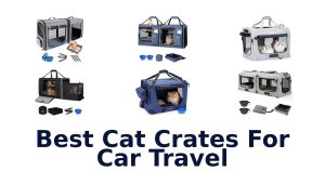 Best Cat Crates For Car Travel
