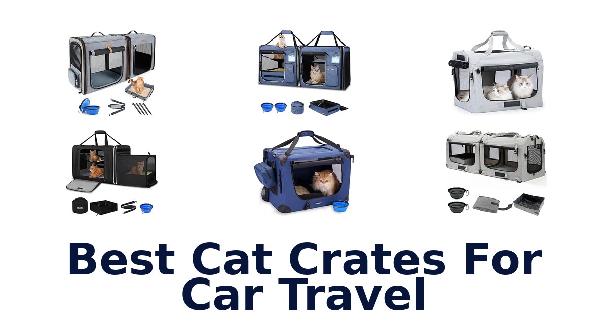 Best Cat Crates For Car Travel