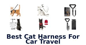 Best Cat Harness For Car Travel