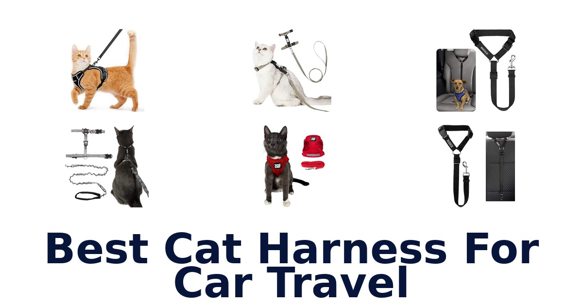 Best Cat Harness For Car Travel