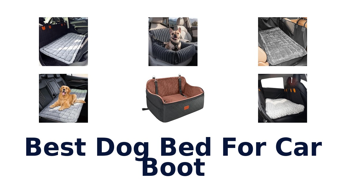 Best Dog Bed For Car Boot