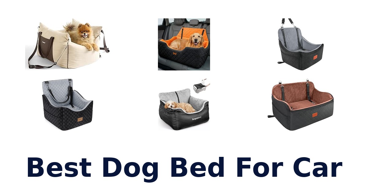 Best Dog Bed For Car