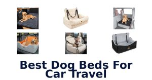 Best Dog Beds For Car Travel