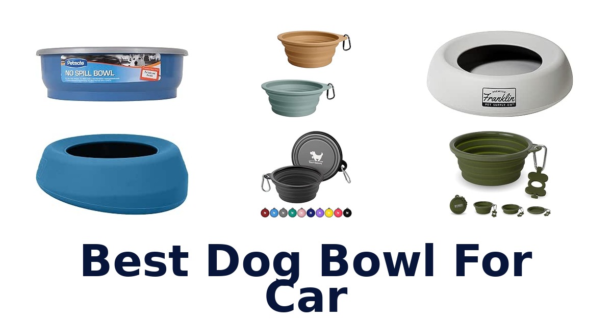 Best Dog Bowl For Car