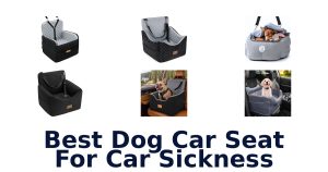 Best Dog Car Seat For Car Sickness