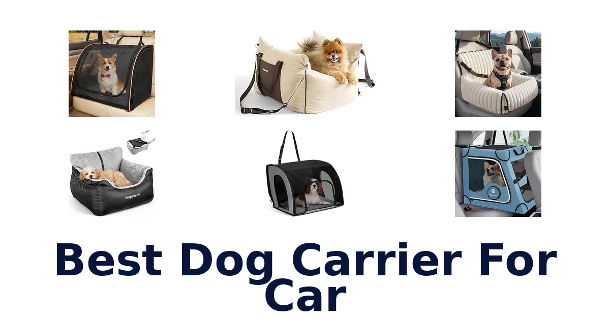 Best Dog Carrier For Car