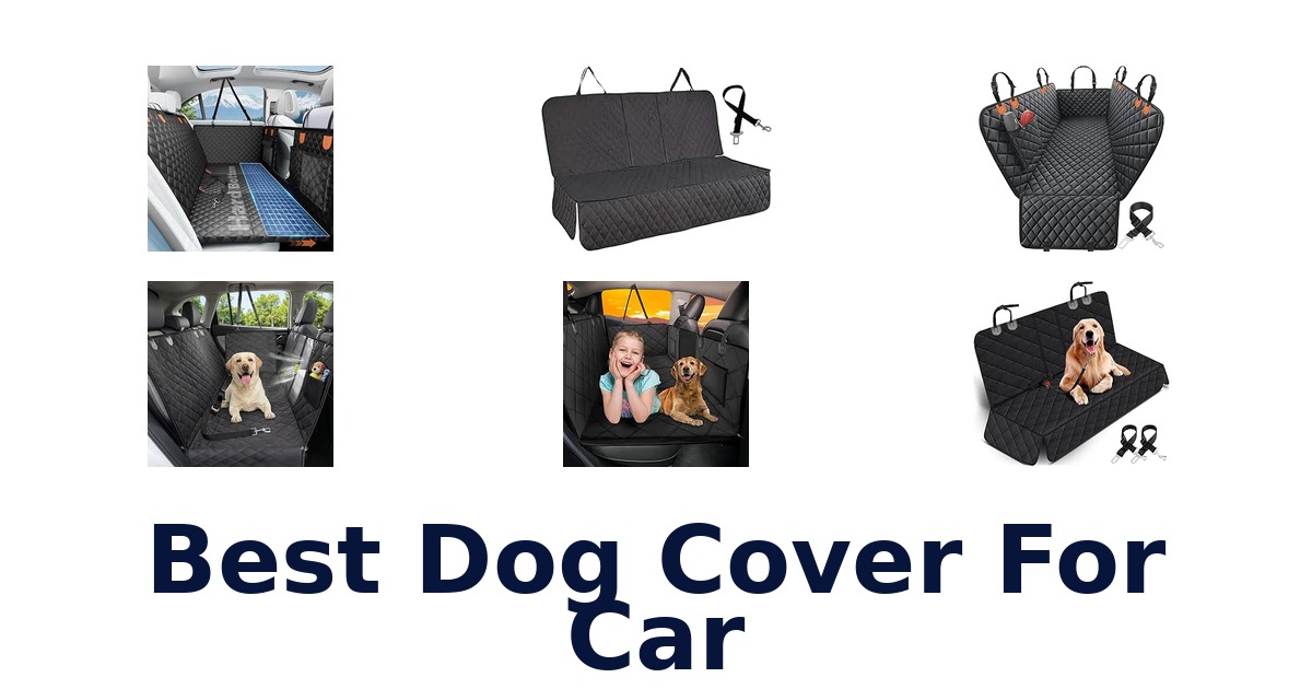 Best Dog Cover For Car