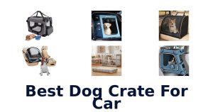 Best Dog Crate For Car
