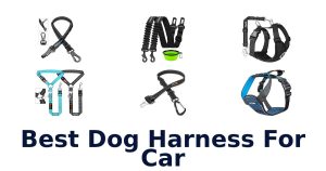 Best Dog Harness For Car