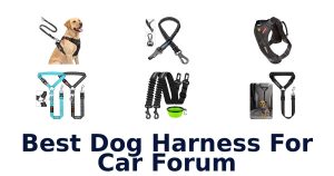 Best Dog Harness For Car Forum