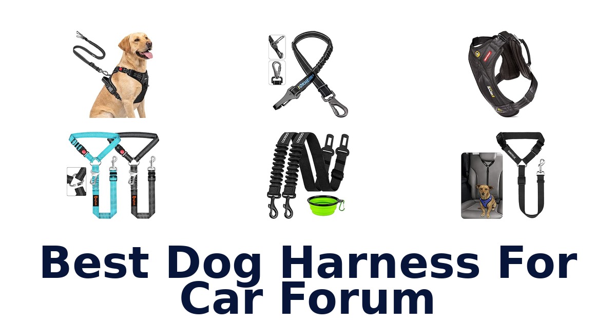 Best Dog Harness For Car Forum