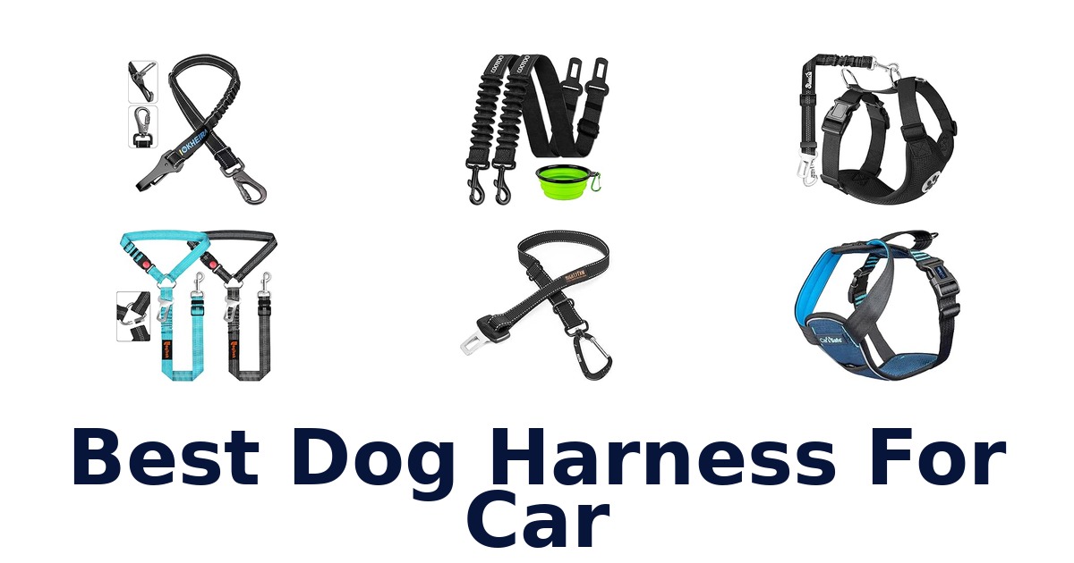 Best Dog Harness For Car