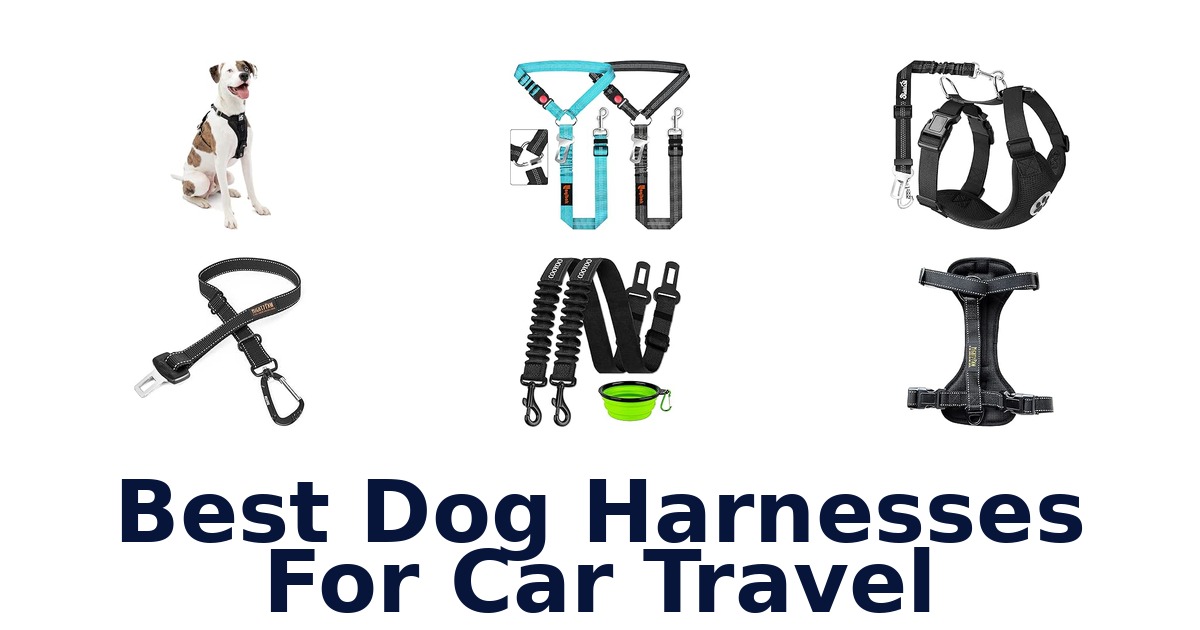 Best Dog Harnesses For Car Travel