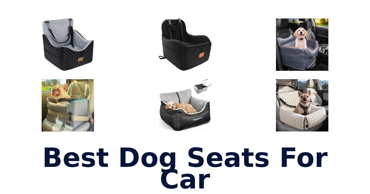 Best Dog Seats For Car