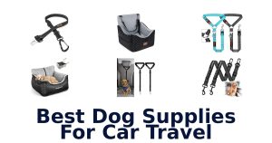Best Dog Supplies For Car Travel