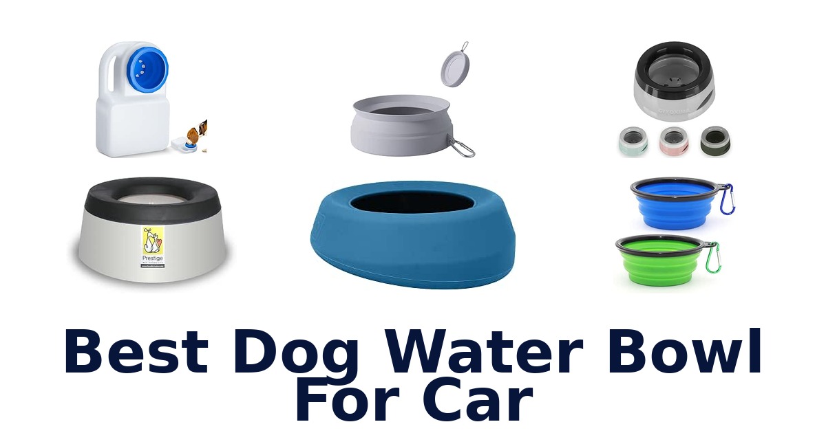 Best Dog Water Bowl For Car