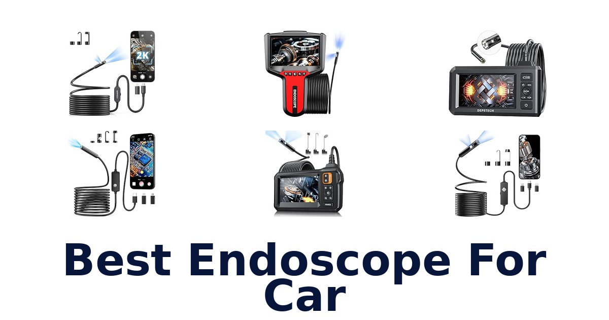 Best Endoscope For Car
