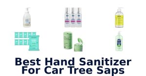 Best Hand Sanitizer For Car Tree Saps