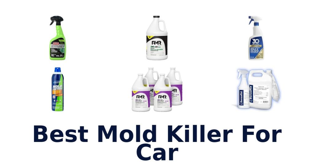 Best Mold Killer For Car