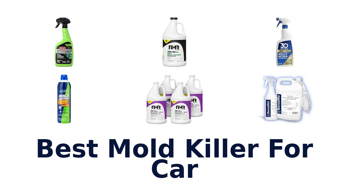 Best Mold Killer For Car