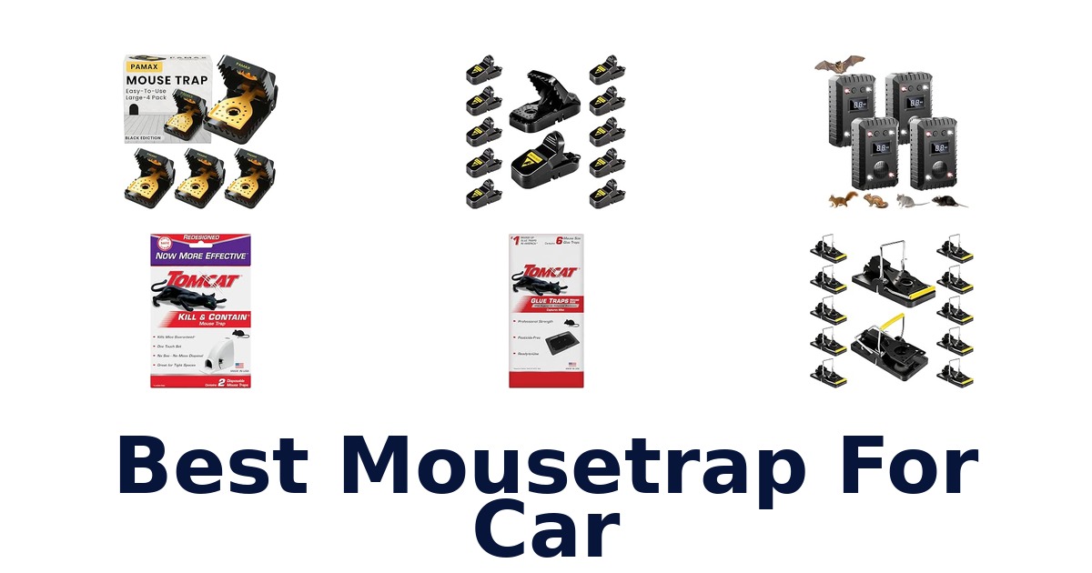 Best Mousetrap For Car