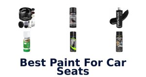 Best Paint For Car Seats