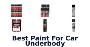 Best Paint For Car Underbody