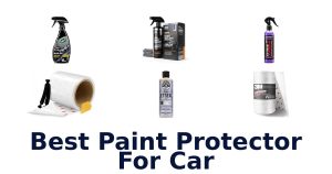 Best Paint Protector For Car