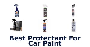 Best Protectant For Car Paint