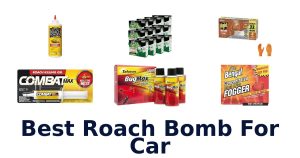 Best Roach Bomb For Car