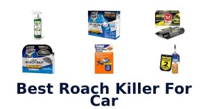 Best Roach Killer For Car