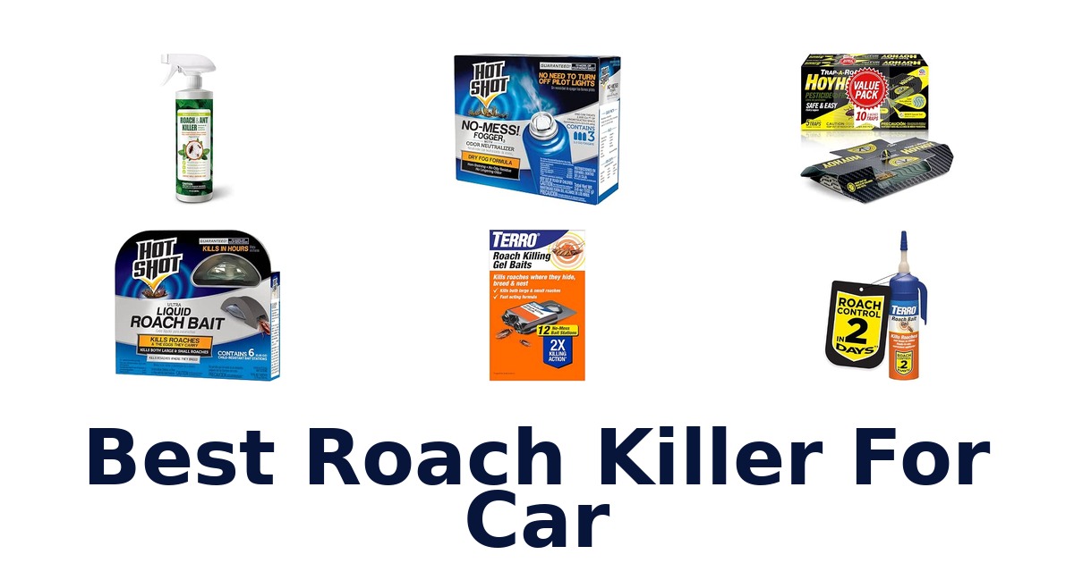 Best Roach Killer For Car