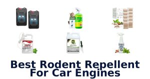 Best Rodent Repellent For Car Engines