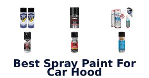 Best Spray Paint For Car Hood