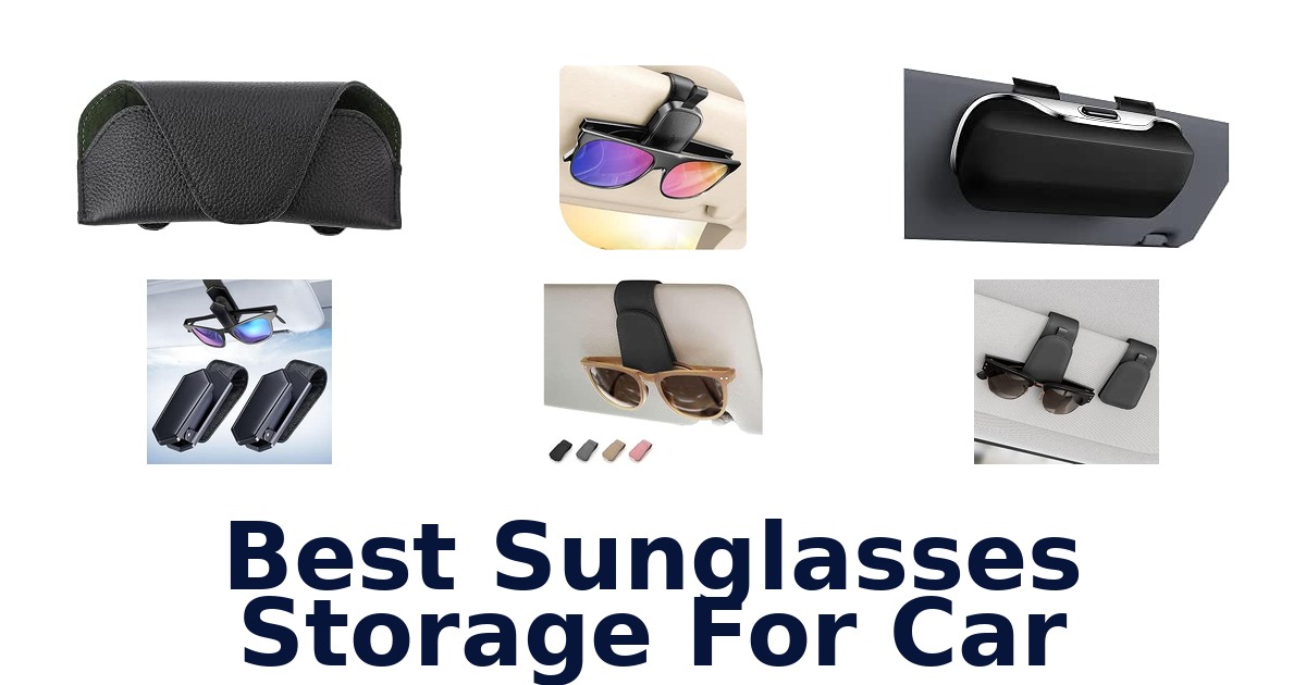 Best Sunglasses Storage For Car