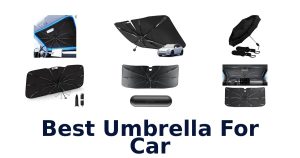 Best Umbrella For Car
