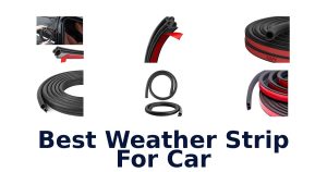 Best Weather Strip For Car