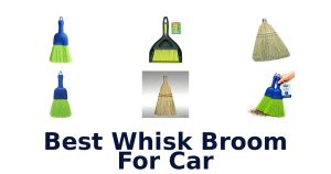 Best Whisk Broom For Car