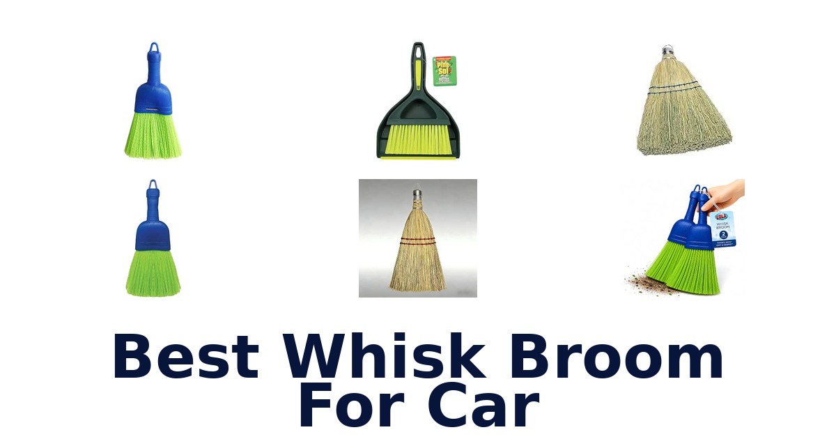 Best Whisk Broom For Car